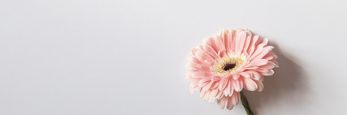 Dr. Simona Scurtu, ND