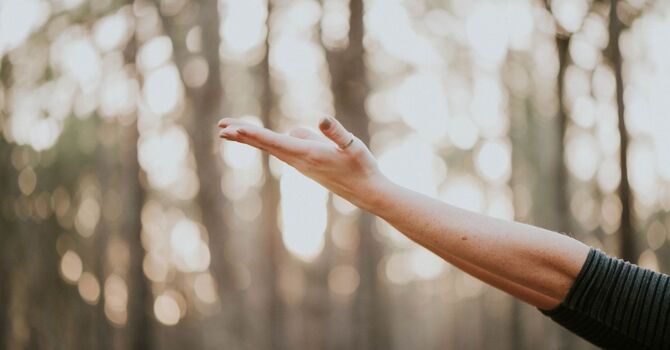 Naturopathic & Functional Medicine